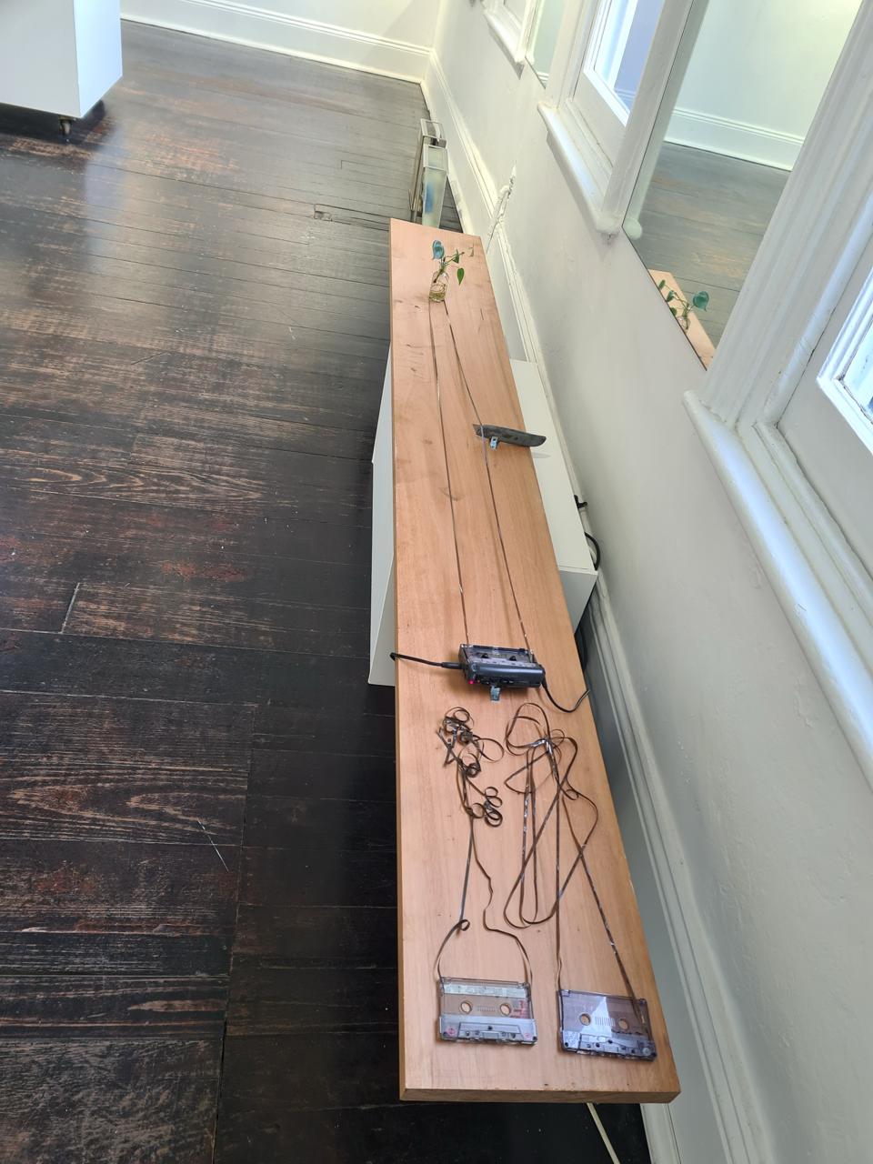 Fiji Dance / Fiji Bus - Image 2