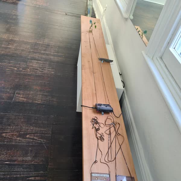 Fiji Dance / Fiji Bus